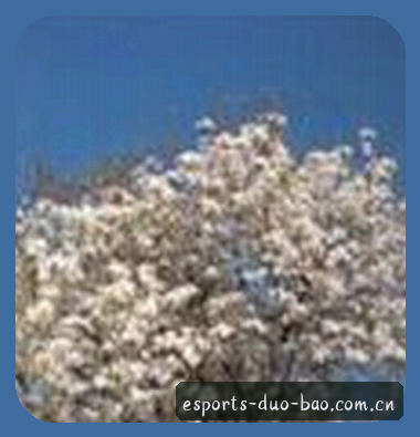 李婷